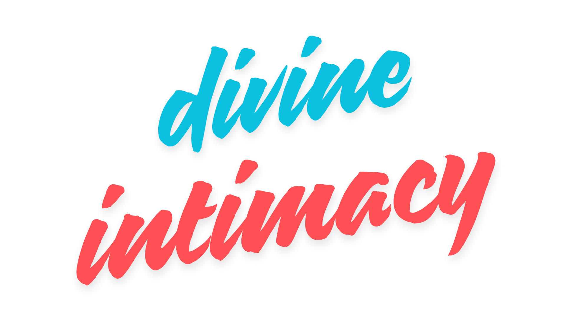Logo Divine Intimacy