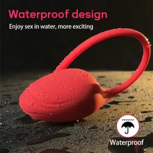 Succubus Vibration Egg | Couple Play Vibrator